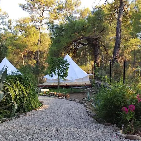 Kunduz Kamp Campingplatz Olympos
