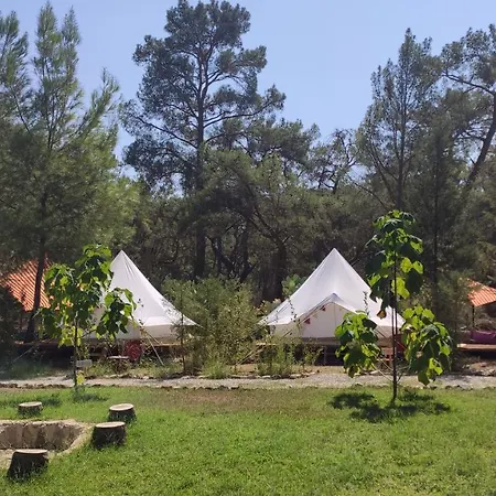 אתר קמפינג Kunduz Kamp *